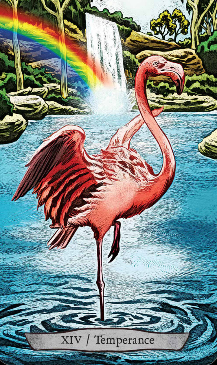 “Today’s a great day to exhibit balance in your diet.” Temperance (Flamingo) – Animal To
