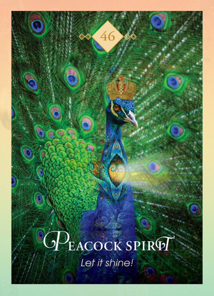 “Today’s a great day to boldly strut your stuff.” Peacock Spirit – Spirit Animal Oracle 