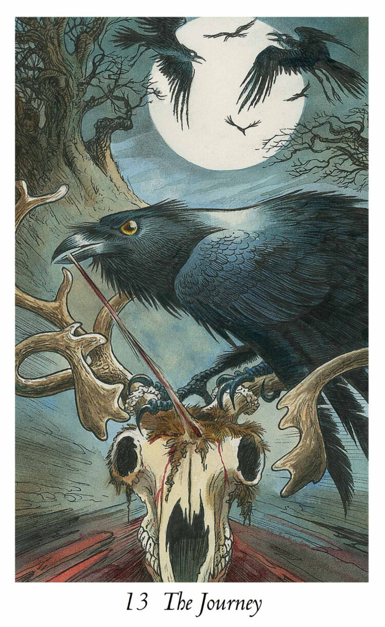 “Today’s a great day to embrace the path ahead.” The Journey – Wild Wood Tarot Deck &