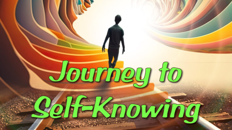 https://wellnessuniverse.learnitlive.com/Class/LMTV-238-Journey-to-Self-Knowing-Linda-Marsanico-/239