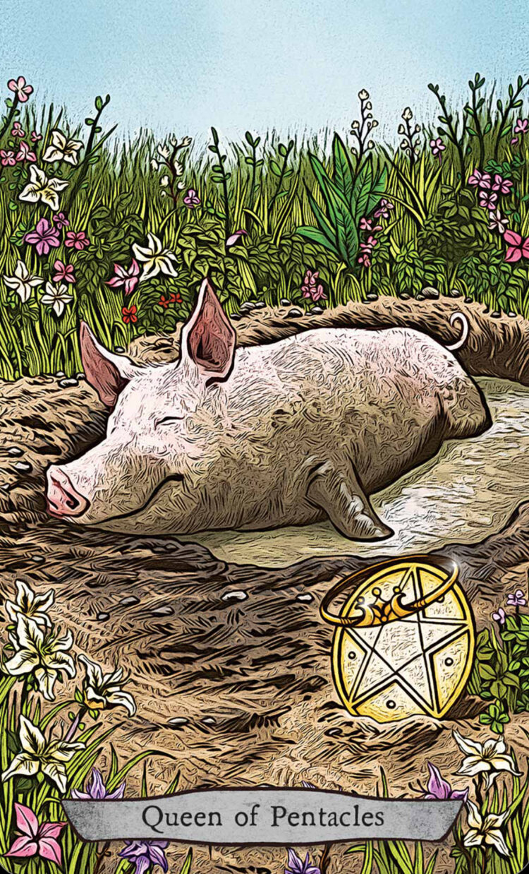 “Today’s a great day to free up time for yourself.” Queen Of Pentacles (Pig) – Animal To