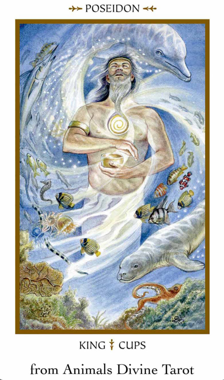 “Today’s a great day to simply connect with nature.” King Of Cups (Poseidon) – Animals D