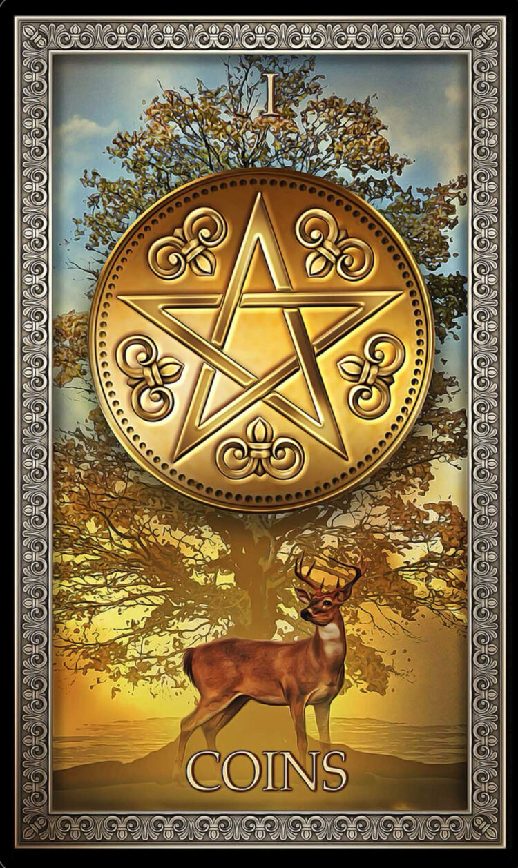 “Today’s a great day to trust that what you have planted WILL grow.” Ace Of Coins – Taro