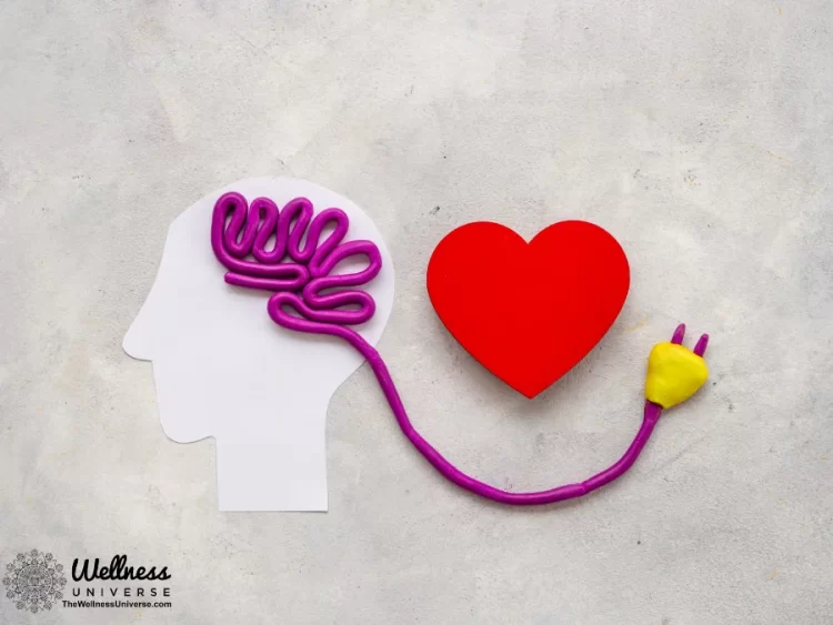 The Heart is a Powerful Tool – Keep it Healthy in All Ways By Kim Wagner @kimwagner2 The mind-