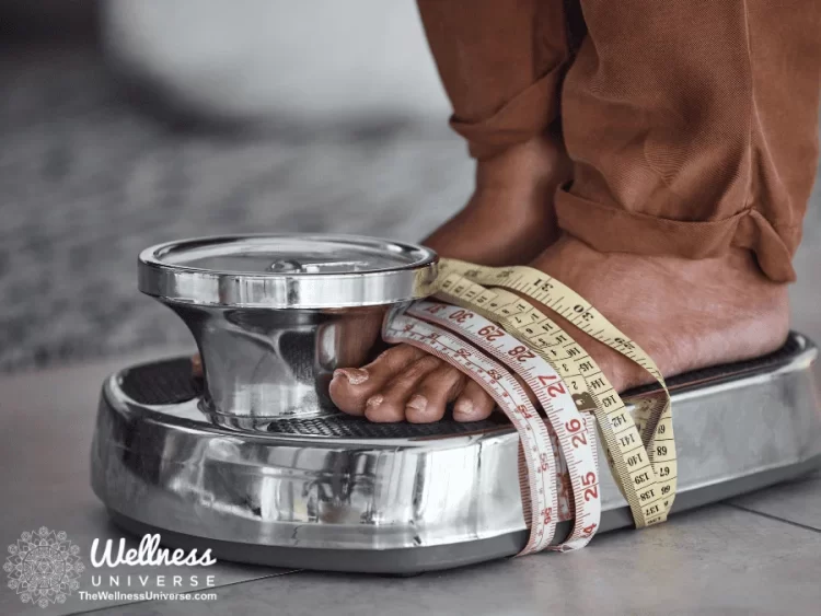 The Tangled Web of Stress, Eating Disorders, and Recovery By Elizabeth Kipp @elizabethkipp Let’