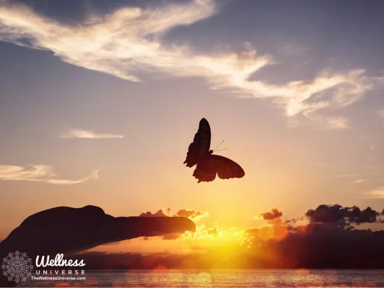 Book Feature: Not Guilty – Finding Peace in Three Simple Steps By The Wellness Universe @thewe