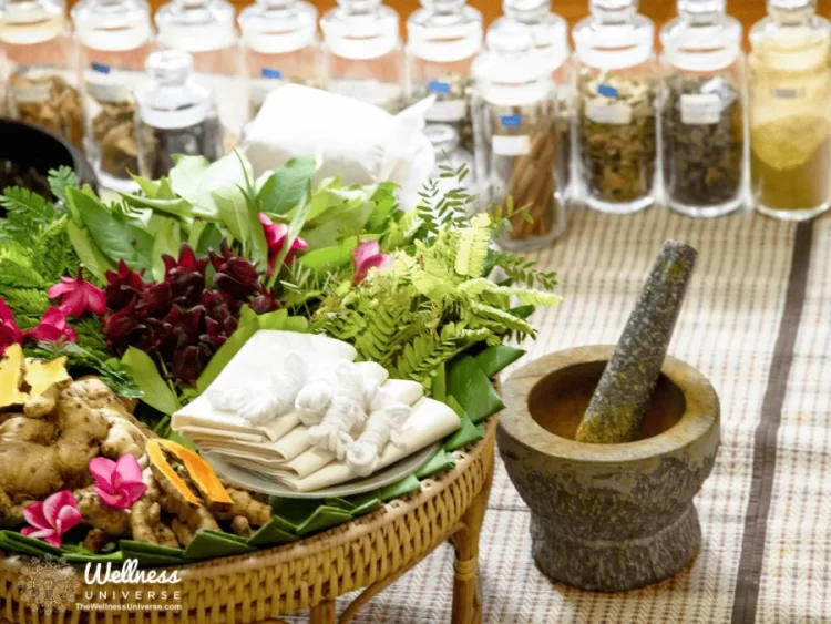 How to Use Ayurvedic Nutrition to Balance Doshas for Optimal Well-being By The Wellness Universe @th