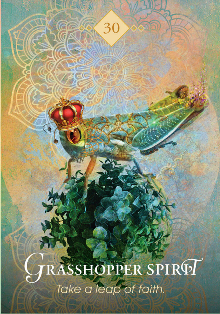“Today’s a great day to move to the next level.” Grasshopper Spirit – Spirit Animal Orac