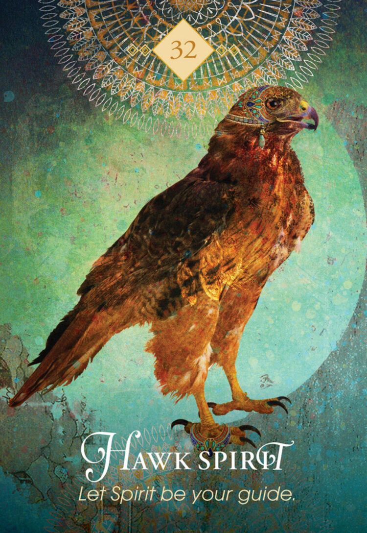 “Today’s a great day to trust your unseen allies.” Hawk Spirit – Spirit Animal Oracle De