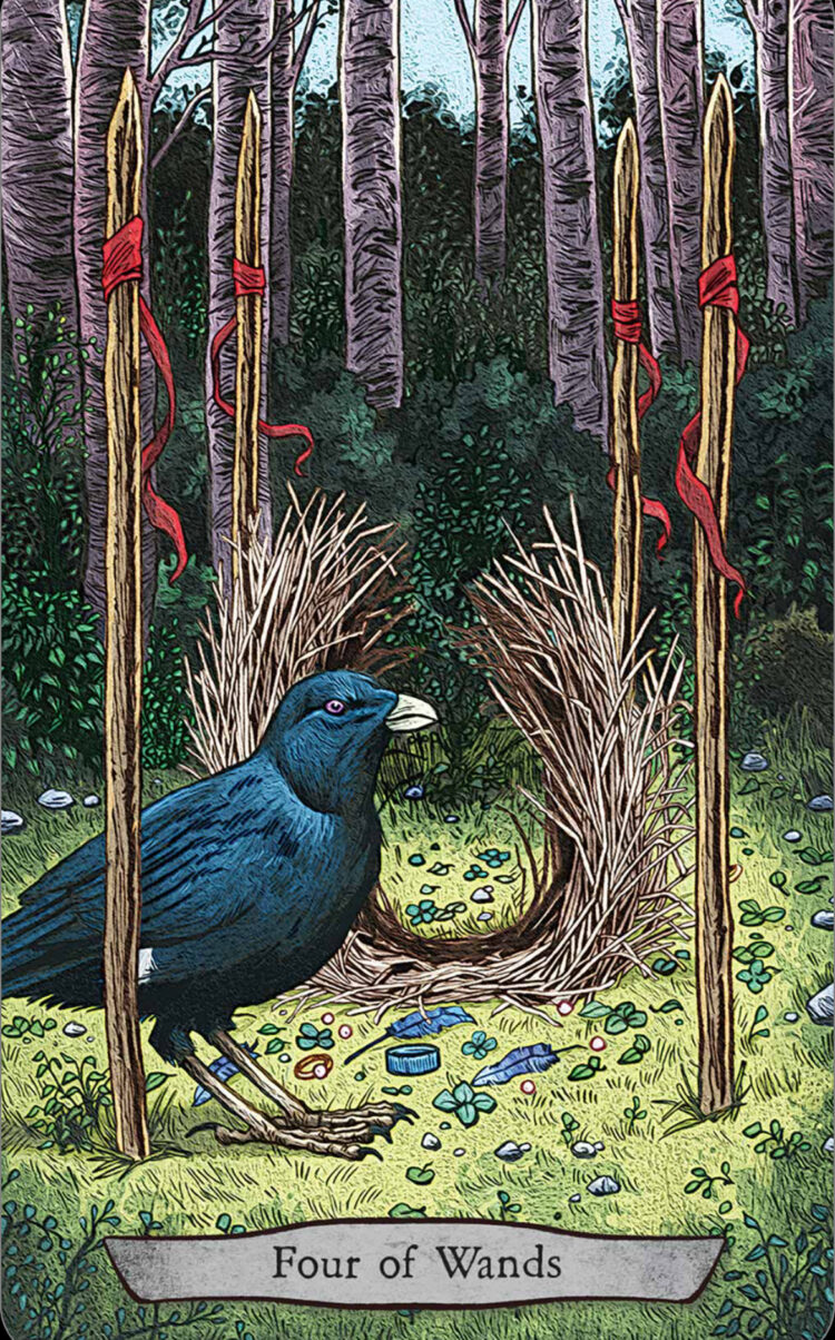 “Today’s a great day to spruce up your nest.” Four Of Wands – Animal Totem Tarot Deck &a