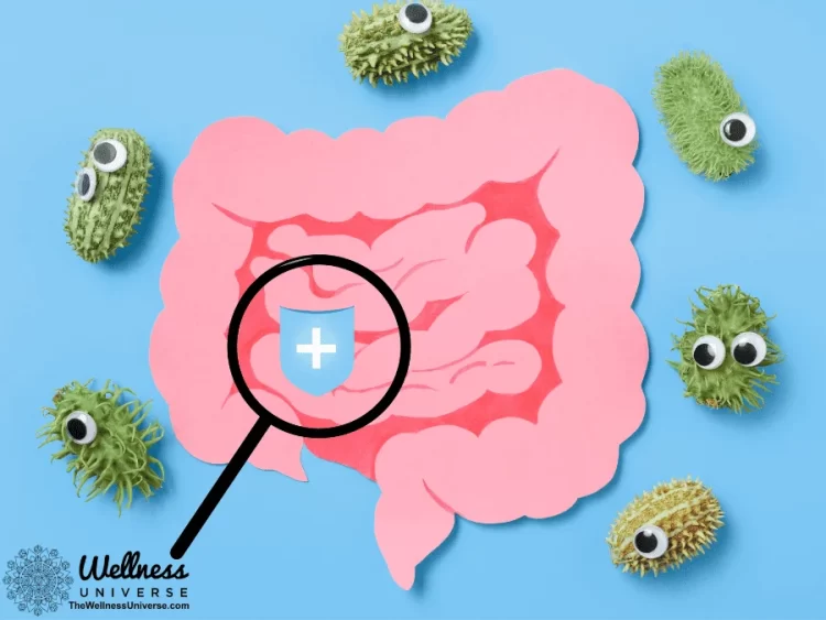 Navigating Diet Patterns and Their Impact on the Gut Microbiome and Disease By Kim Marie Pauline Exp
