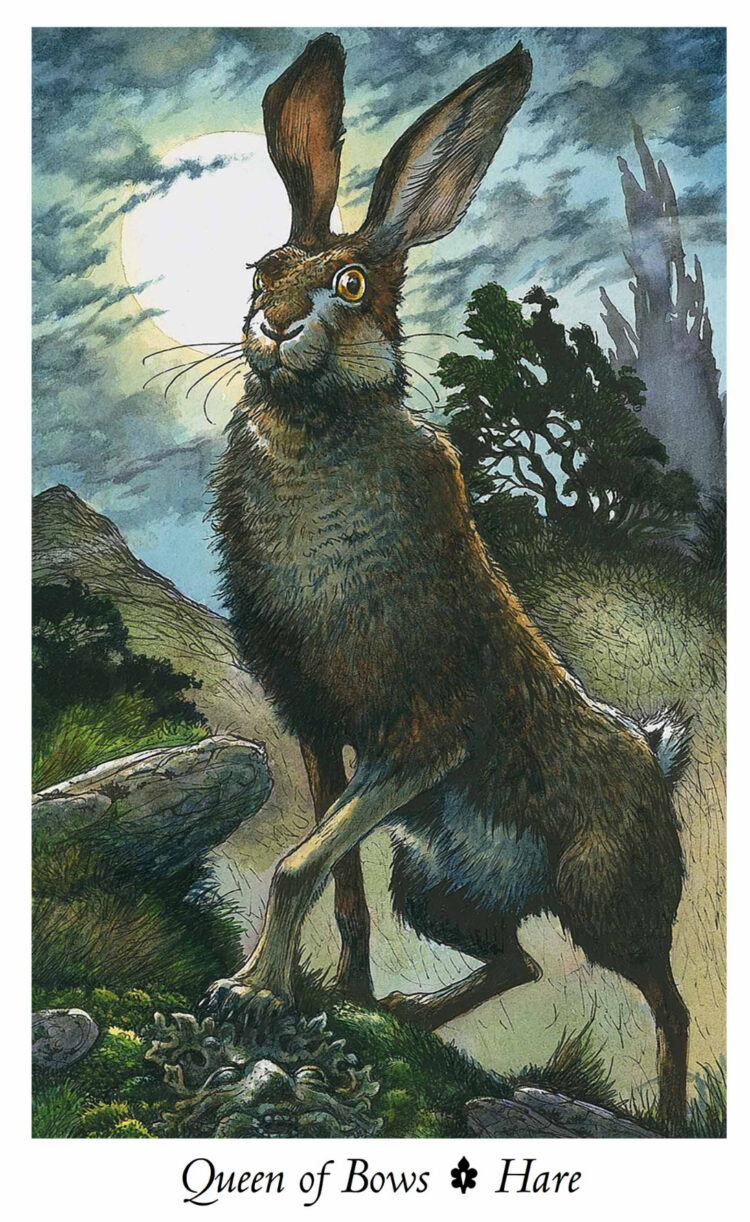 “Today’s a great day to take matters into your own hands.” Queen Of Bows (Hare) – Wild W