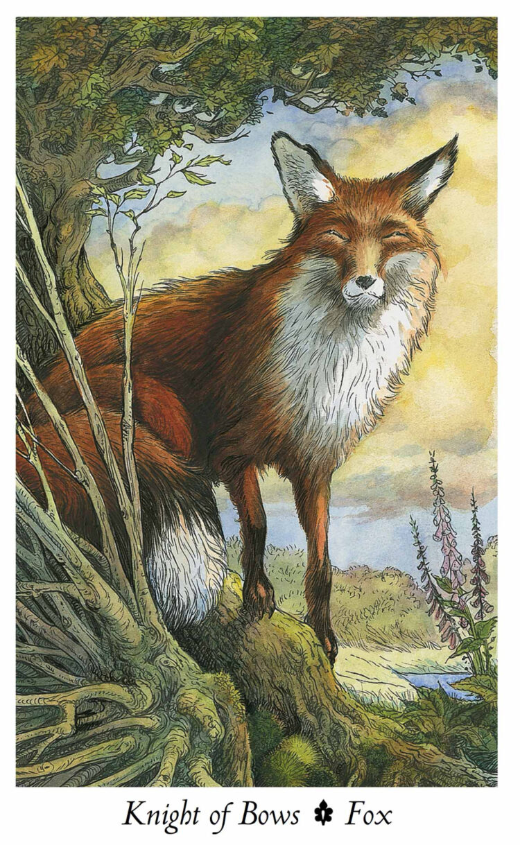 “Today’s a great day to be wise & playful.” King Of Bows – WildWood Tarot Deck &