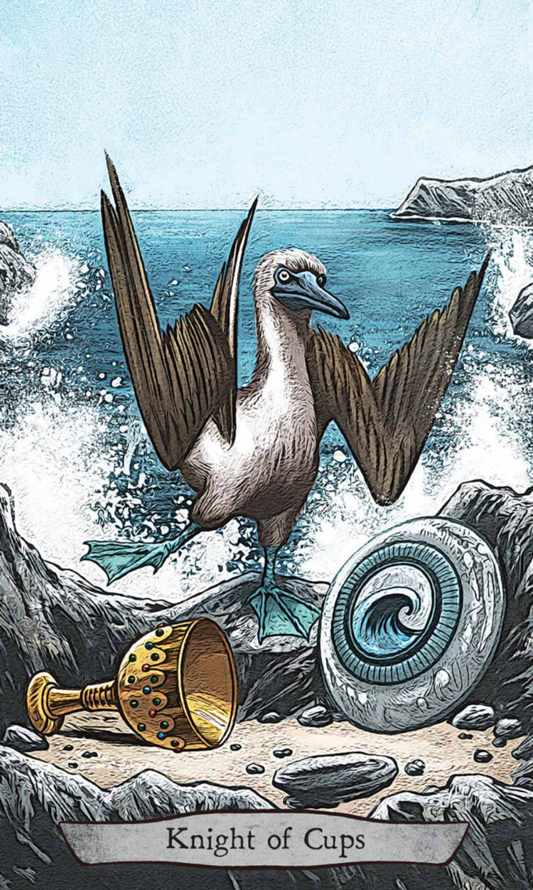 “Today’s a great day to be romantic & goofy.” Knight Of Cups (Blue-Footed Booby) Animal To