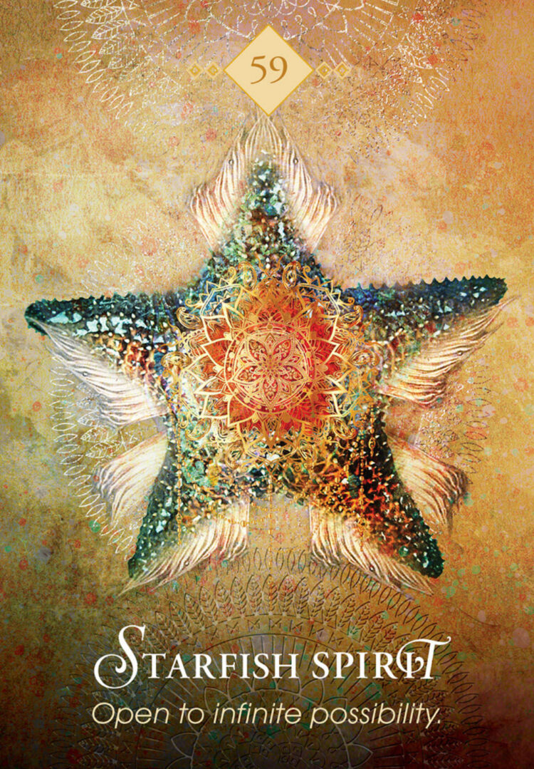 “Today’s a great day to dream bigger than you ever have.” Starfish Spirit – Spirit Anima