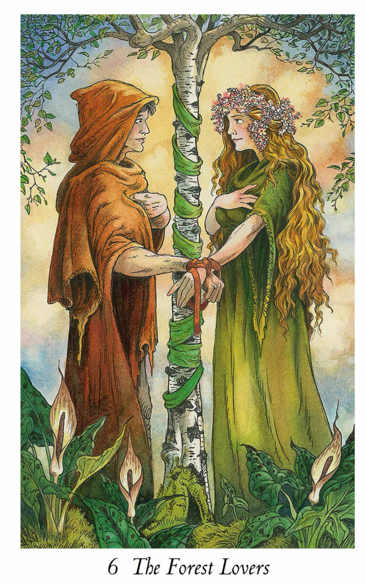 “Today’s a great day to work together for the common good of all involved.” The Forest Lovers