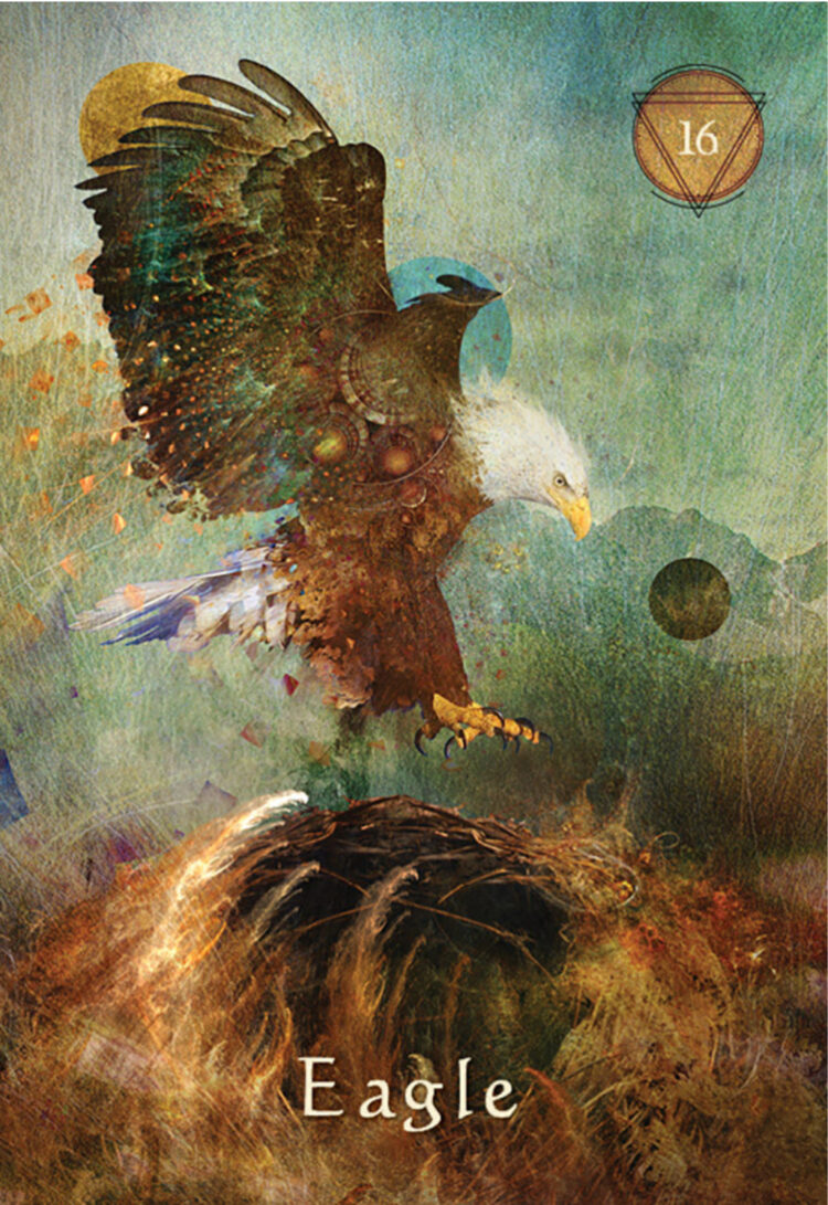 “Today’s a great day to stay focused on the bigger picture.” Eagle – The Mystical Shaman