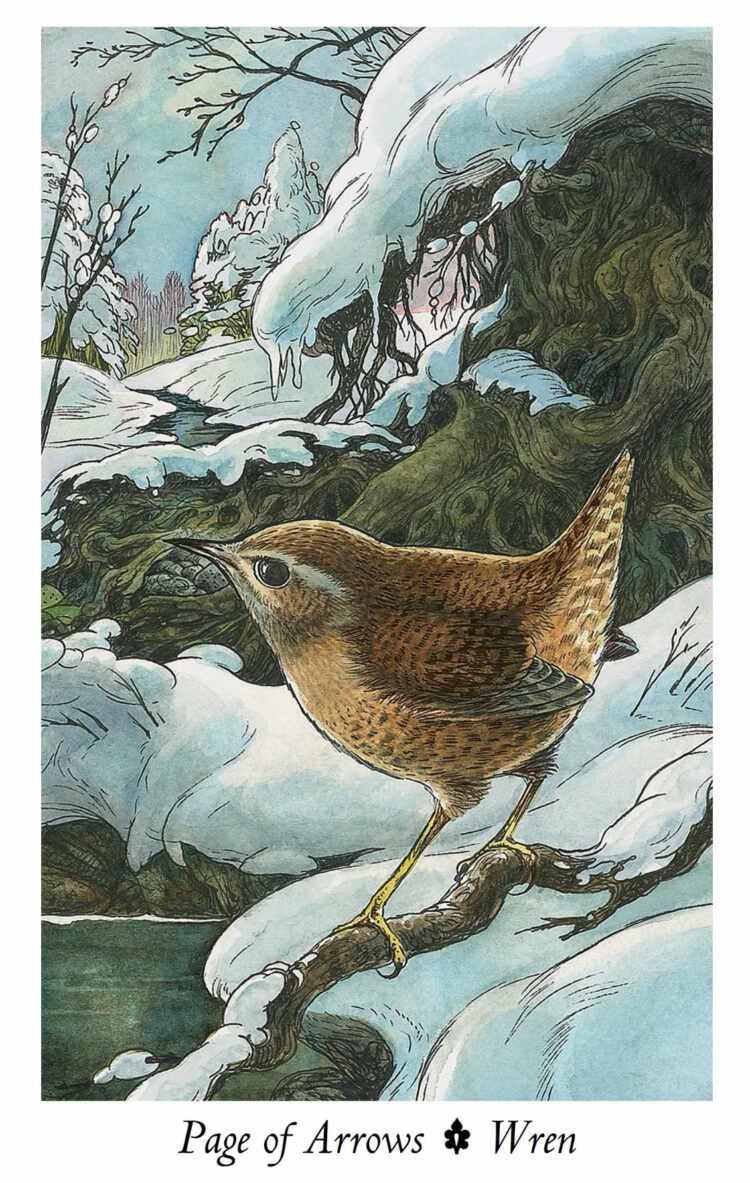 “Today’s a great day to unfreeze your thinking & absorb the lessons.” Page Of Arrows (Wren