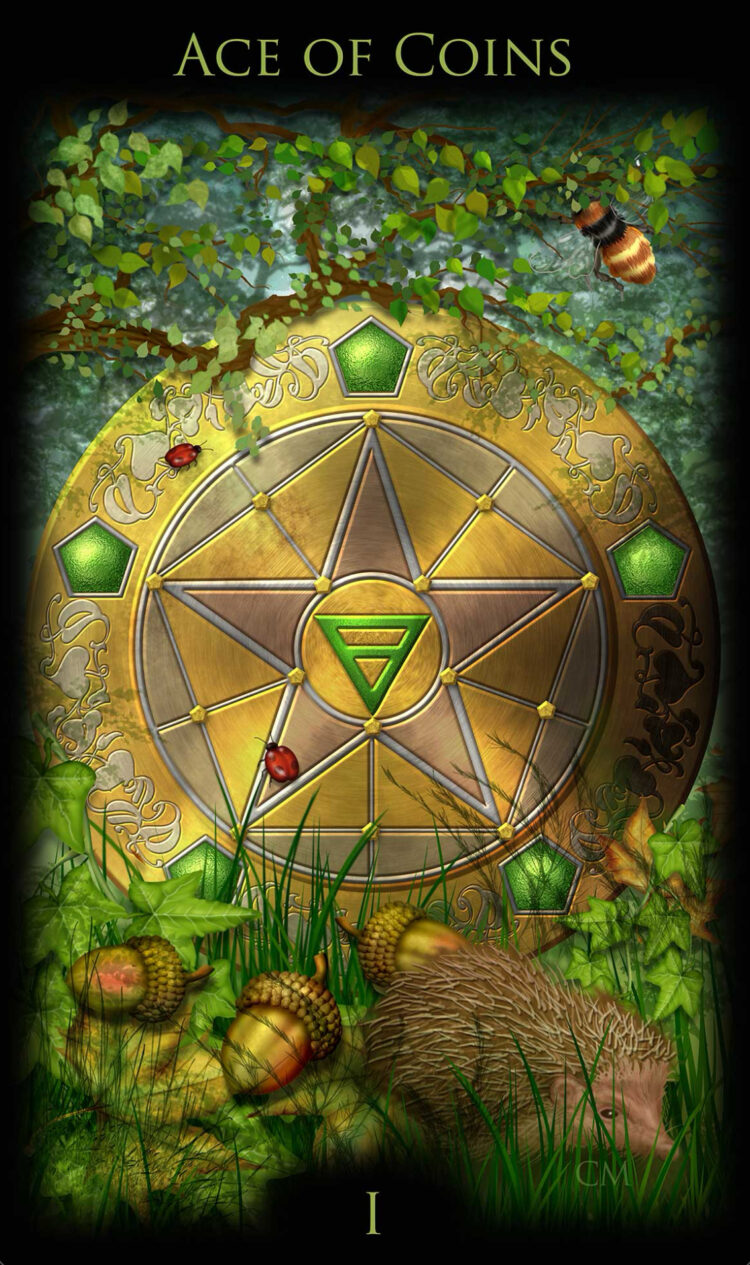 “Today’s a great day to get things started with a strong goal to finish.” Ace Of Coins –