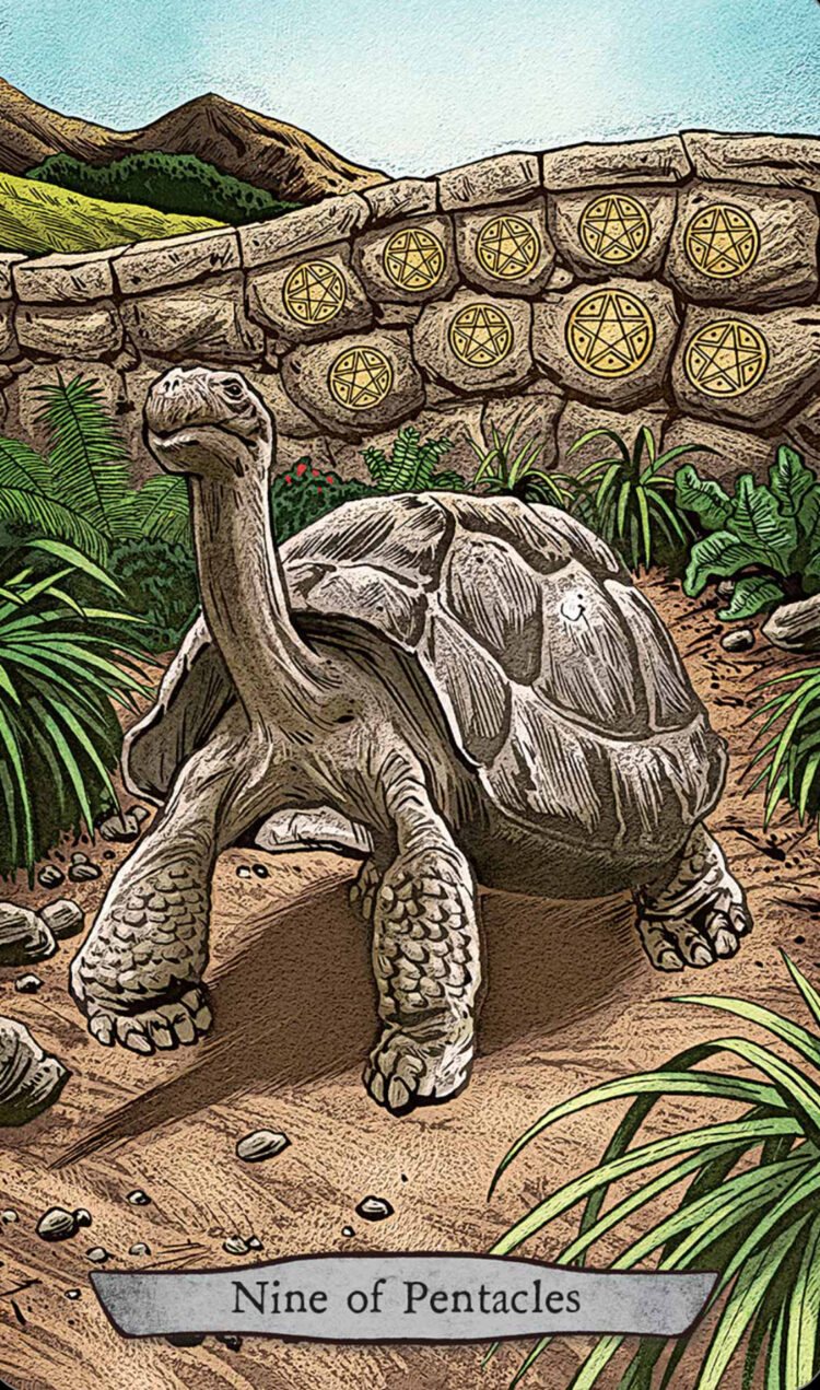 “Today’s a great day to ‘stop & smell the roses.’” Tortoise (NineOfPentacles) –