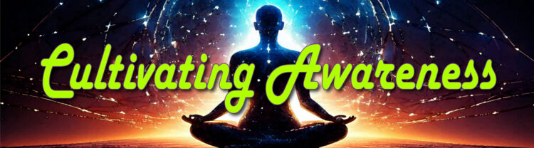🌿 **Happening Today! — Cultivating Awareness** 🕐 **1:00 PM Eastern | Live Episode