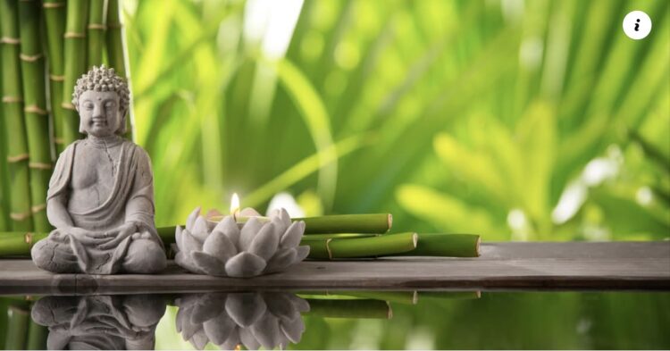 Join me on Monday October 13th when you will learn to broadcast the love you hold deep within your h