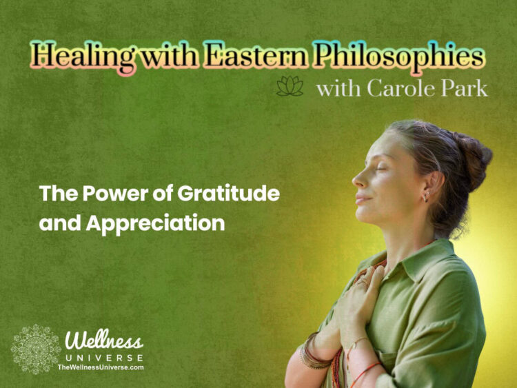 Every moment you take to feel and express gratitude opens the Universal flow of positive return. App