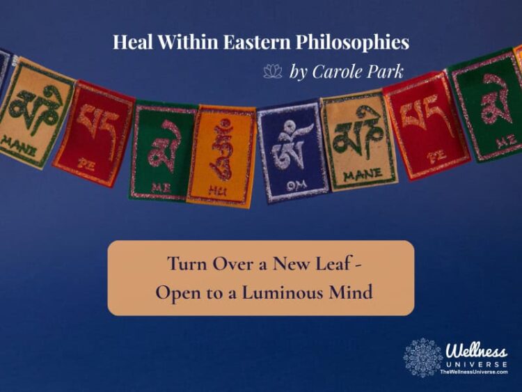 We all know a fresh start or turning over a new leaf takes courage, commitment and strength. We must